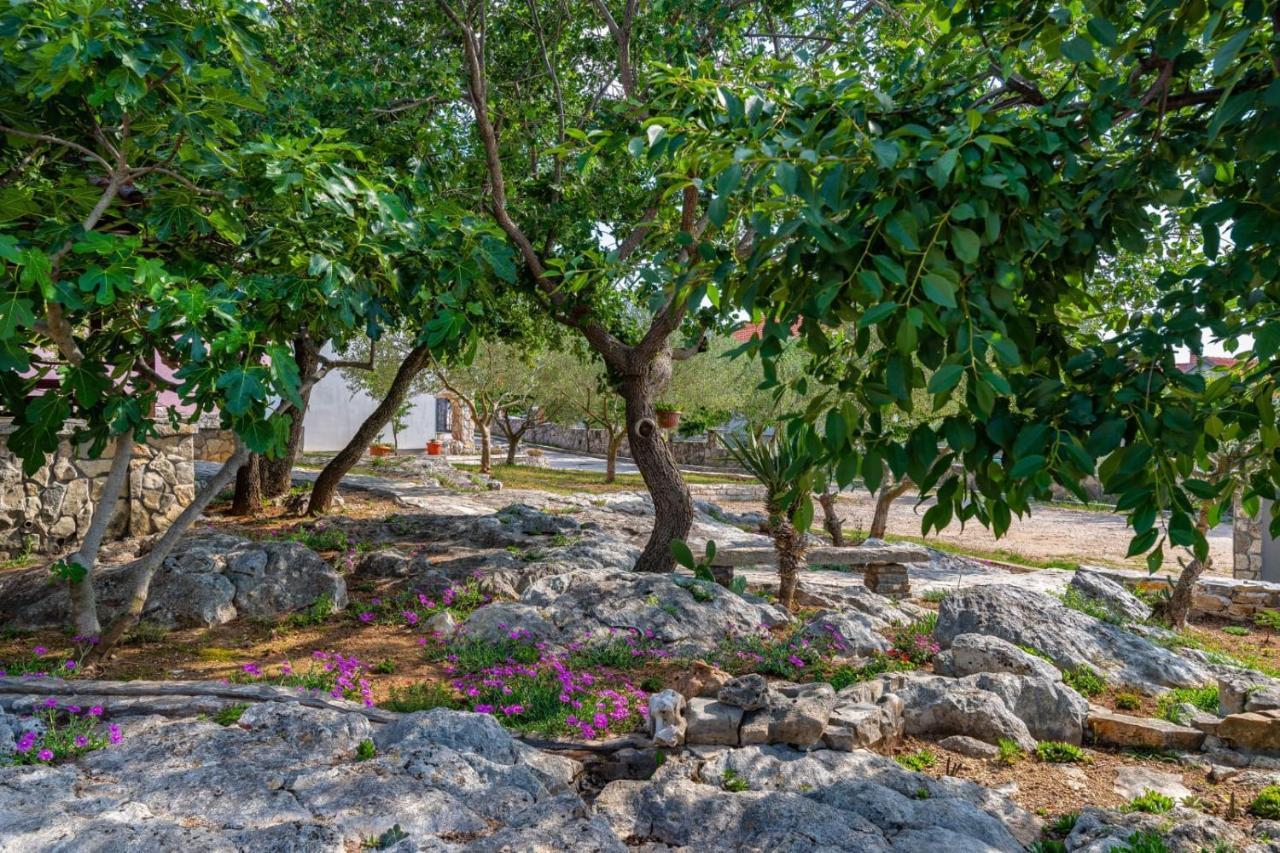Villa Eagle Benkovac Dış mekan fotoğraf